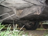 143_4358.html