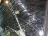 117_1729.html
