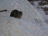 117_1757.html