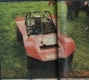 buggy_t603.html