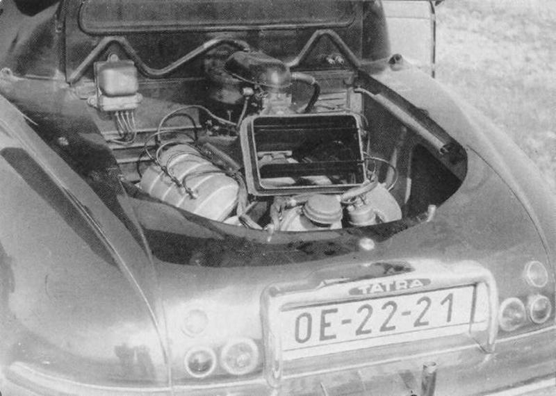 T87 boubelatá