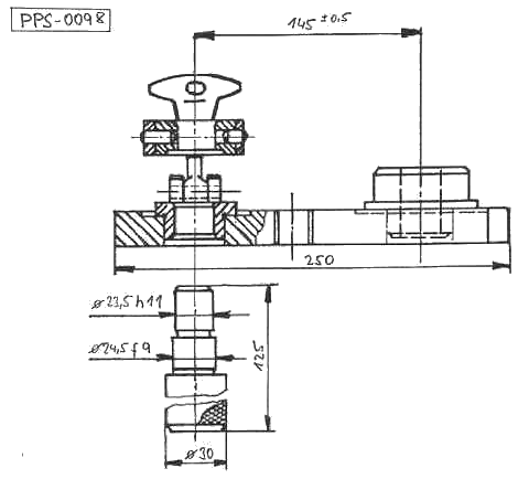 PPS-0098