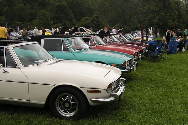 Triumph Stags