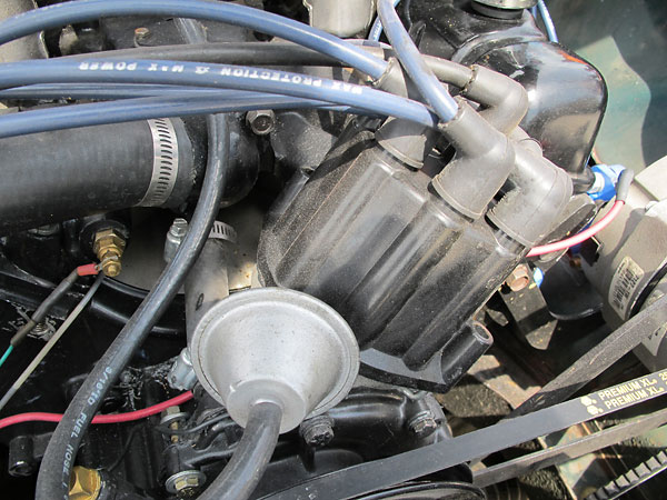 Buick (Delco-Remy) distributor with Pertronix Ignitor module.