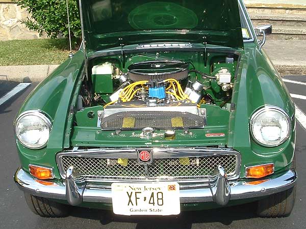 Larry Shimp's Ford 302 V8