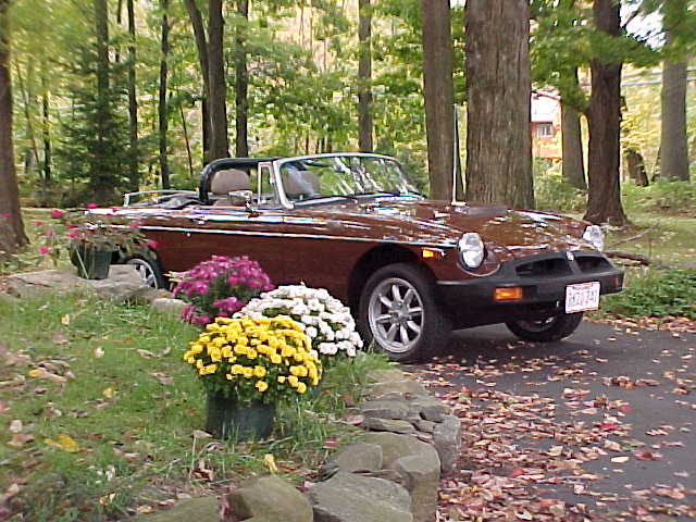 Amy Sue Domanowski's MGB