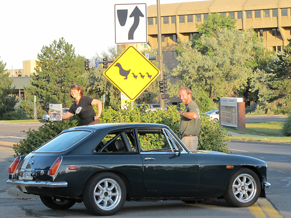 Duck Crossing Sign (Moss Motoring Challenge)