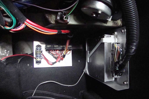 Detail Zone complete, self-contained EFI wiring harness (with its own fuse panel and relays).