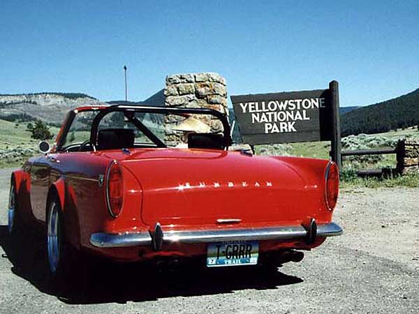 Tiger sighted at Yellowstone Park