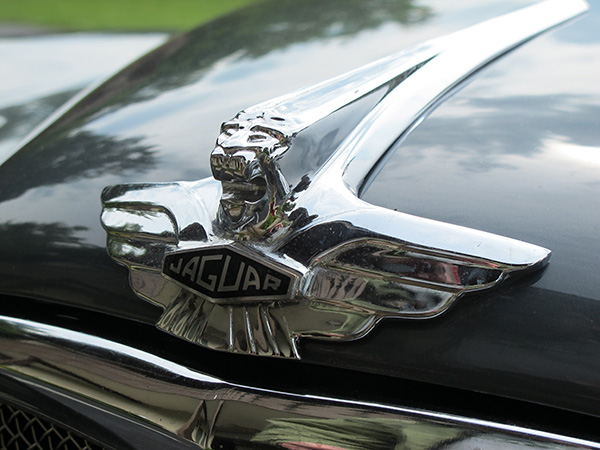 Magnificent Jaguar hood ornament.