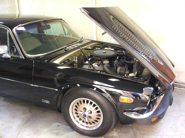 Chevrolet 383 stroker V8 with World Products S/R Torquer cylinder heads.