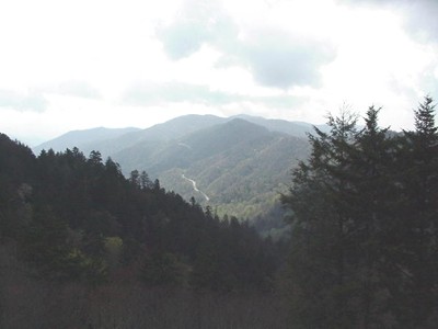 British V8 invasion of Newfound Gap