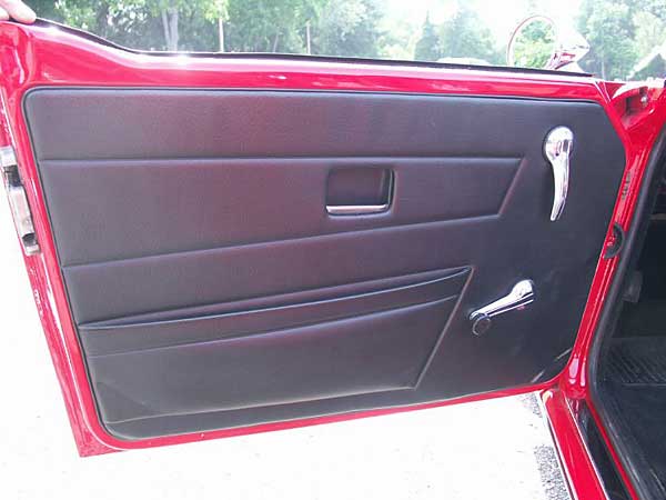 TR6 door panels