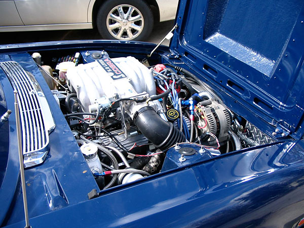 5.0 Cobra fuel injection