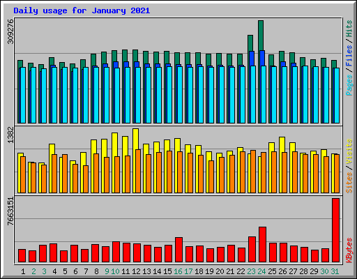 Daily usage for January 2021