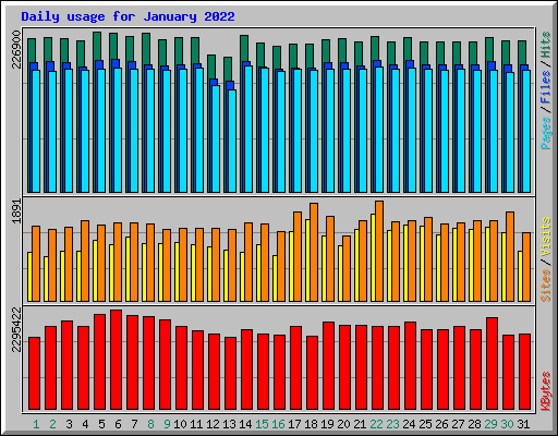 Daily usage for January 2022