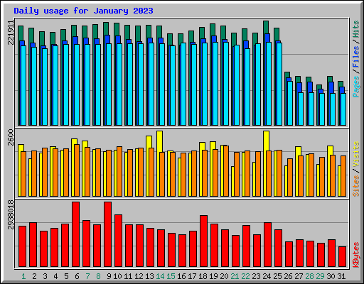 Daily usage for January 2023