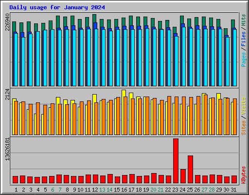Daily usage for January 2024