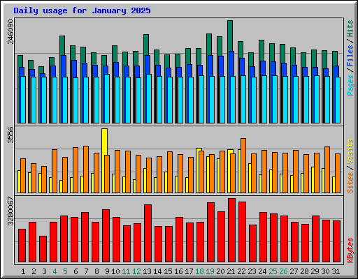 Daily usage for January 2025