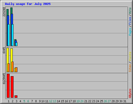 Daily usage for July 2025