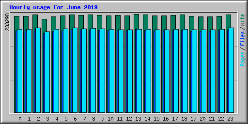 Hourly usage for June 2019