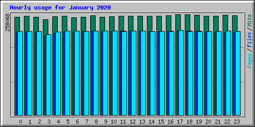 Hourly usage for January 2020