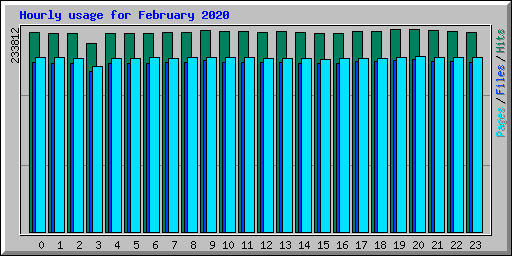 Hourly usage for February 2020