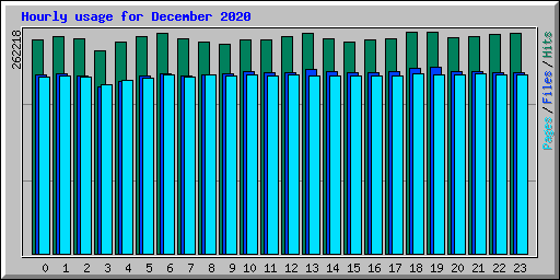 Hourly usage for December 2020