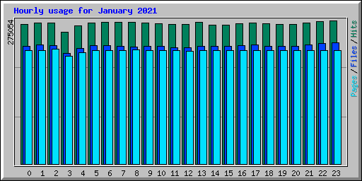 Hourly usage for January 2021