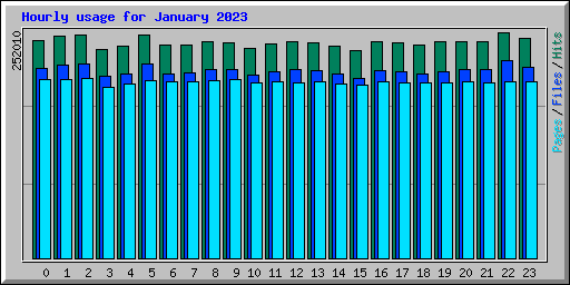 Hourly usage for January 2023