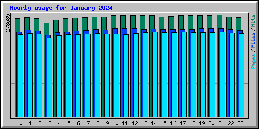 Hourly usage for January 2024