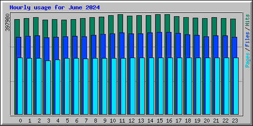 Hourly usage for June 2024