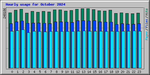 Hourly usage for October 2024