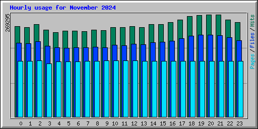 Hourly usage for November 2024