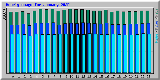 Hourly usage for January 2025