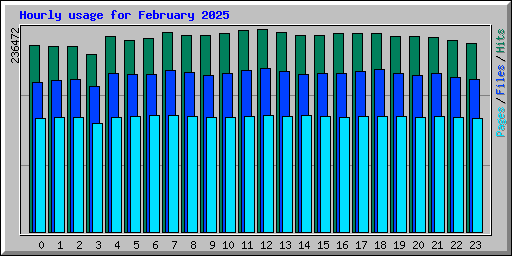 Hourly usage for February 2025