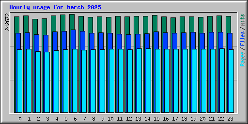 Hourly usage for March 2025