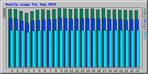 Hourly usage for May 2025