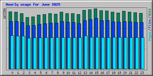 Hourly usage for June 2025