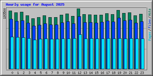 Hourly usage for August 2025