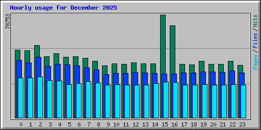 Hourly usage for December 2025