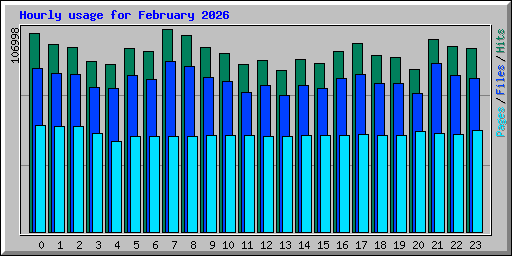 Hourly usage for February 2026