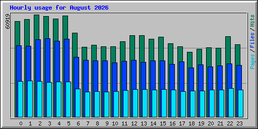 Hourly usage for August 2026